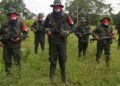 La guerrilla del ELN se atribuye el secuestro de dos policías colombianos en la frontera con Venezuela