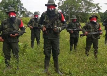 La guerrilla del ELN se atribuye el secuestro de dos policías colombianos en la frontera con Venezuela