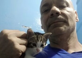 Fiscalía española remite a EEUU un informe sobre el asesino canjeado con Venezuela