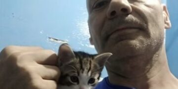 Fiscalía española remite a EEUU un informe sobre el asesino canjeado con Venezuela