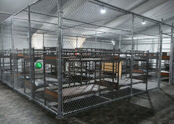 Migrantes describen el infierno dentro del centro de detención ‘Alligator Alcatraz’
