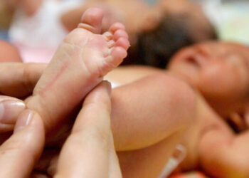 Once recién nacidos en Brasil recibieron por error un antídoto en vez de una vacuna