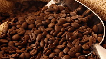 Venezuela exportó 86 mil quintales de café durante el primer semestre del año