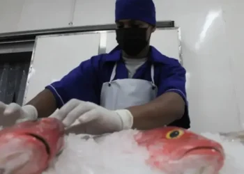 Miranda exportó 24 toneladas de tajalí a China desde la planta procesadora Higuemar