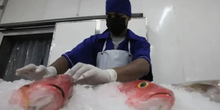 Miranda exportó 24 toneladas de tajalí a China desde la planta procesadora Higuemar