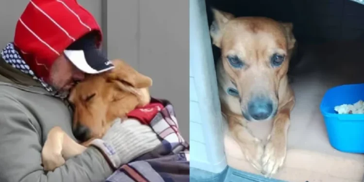 Hombre murió de frío en las calles de Argentina por no abandonar a su perro