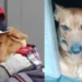 Hombre murió de frío en las calles de Argentina por no abandonar a su perro