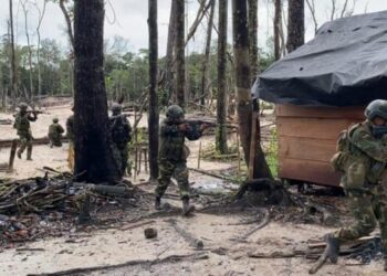 FANB asegura que destruyó un campamento de minería ilegal en Amazonas