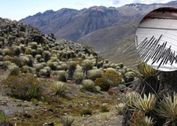 Los Andes y las cordilleras Central y Oriental concentran la mayor actividad sísmica, según Funvisis