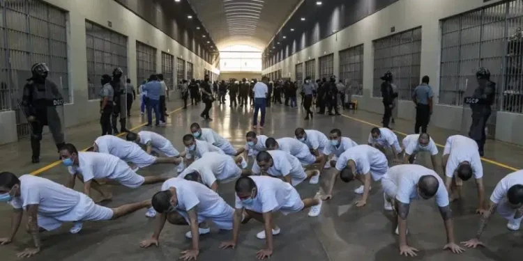 Acuerdo revela que Trump ofreció USD 4,7 millones a El Salvador por encarcelar a venezolanos