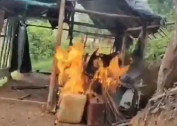 FANB destruye campamento de minería ilegal en Amazonas