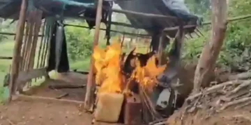 FANB destruye campamento de minería ilegal en Amazonas