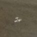 Fuerza Armada venezolana intercepta aeronave que ingresó de manera «furtiva» al territorio