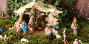 Sancionarán a quienes incurran en la extracción y comercialización del musgo