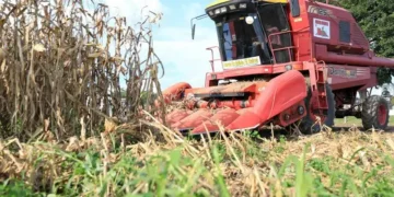 Fedeagro estima que el sector requiere 1.500 millones de dólares anuales en créditos