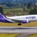 El Gobierno venezolano espera que las aerolíneas Wingo y Copa reinicien vuelos en 48 horas