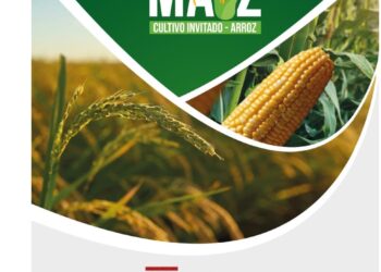 La III Expo-Congreso Nacional del Maíz y el Arroz se llevará a cabo en Barquisimeto