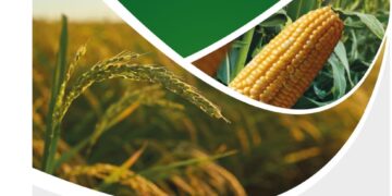 La III Expo-Congreso Nacional del Maíz y el Arroz se llevará a cabo en Barquisimeto