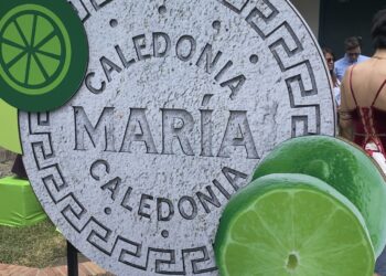 Galletas Caledonia renueva momentos clásico con su nueva Línea María Momentos