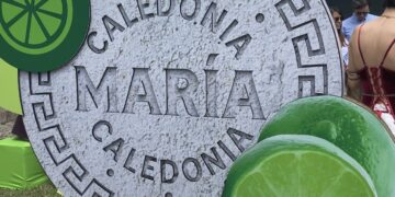 Galletas Caledonia renueva momentos clásico con su nueva Línea María Momentos