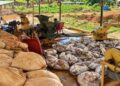 Venezuela Mining Gold anuncia plan para integrarse al mercado internacional de joyería y metales valiosos